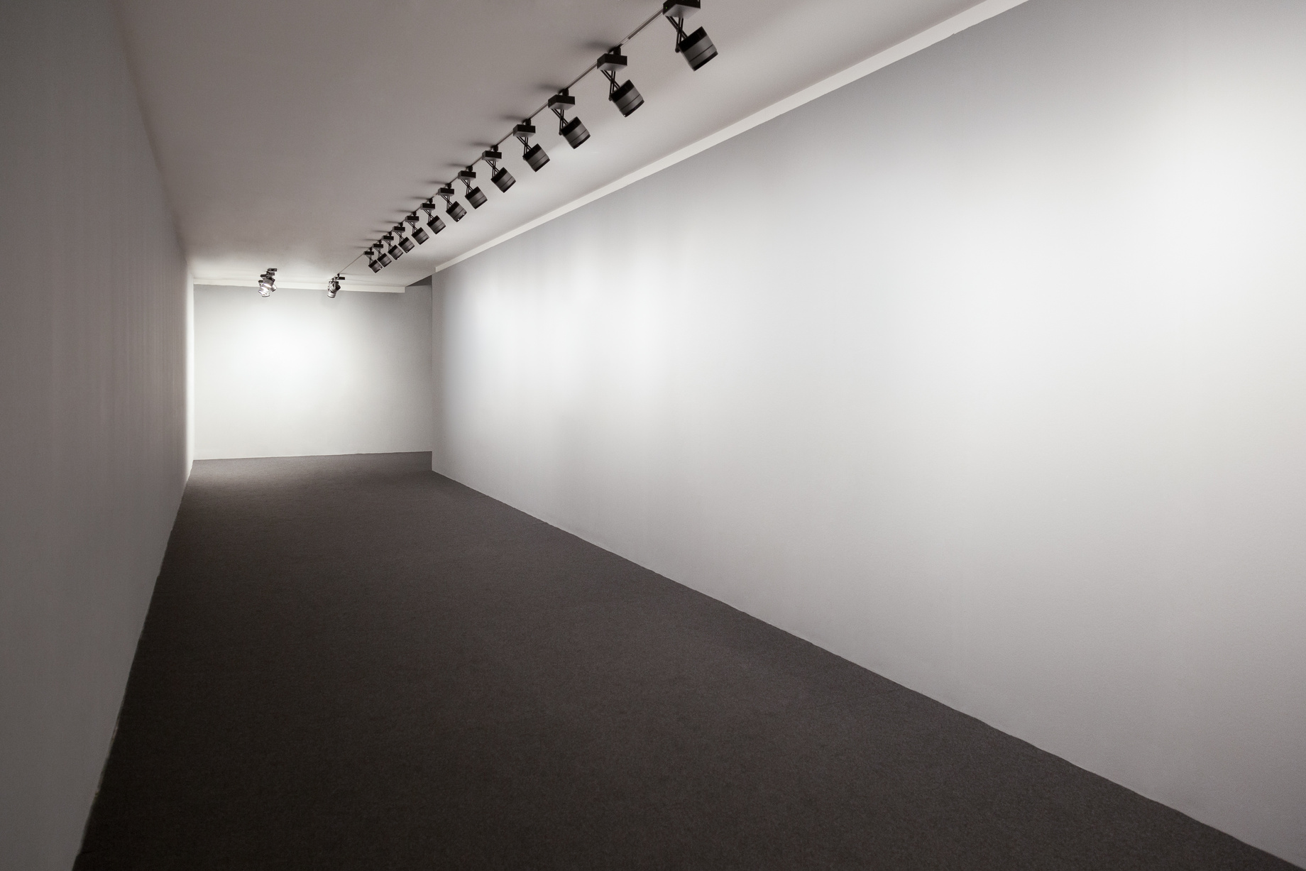 White perspective showroom